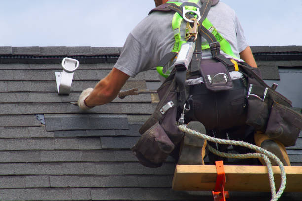 Best Roof Gutter Cleaning  in Belle, WV