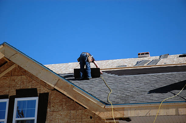 Best Metal Roofing Contractor  in Belle, WV