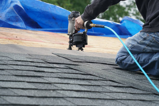 Roof Gutter Cleaning in Belle, WV