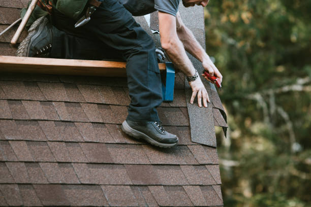 Best Gutter Installation and Roofing  in Belle, WV